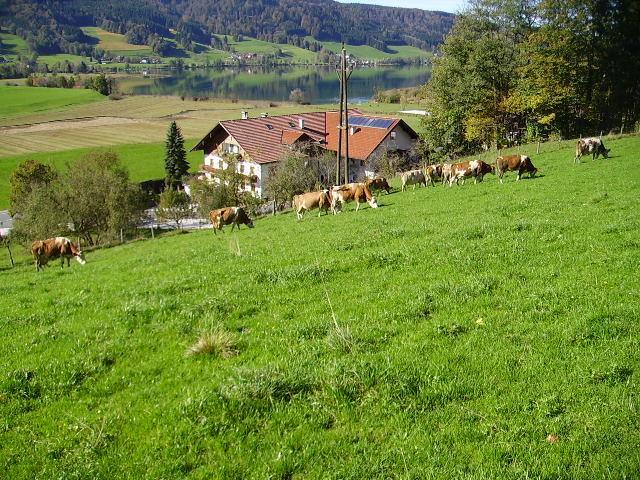 Вилла Bauernhof Kasleitner Целль-ам-Мос Экстерьер фото